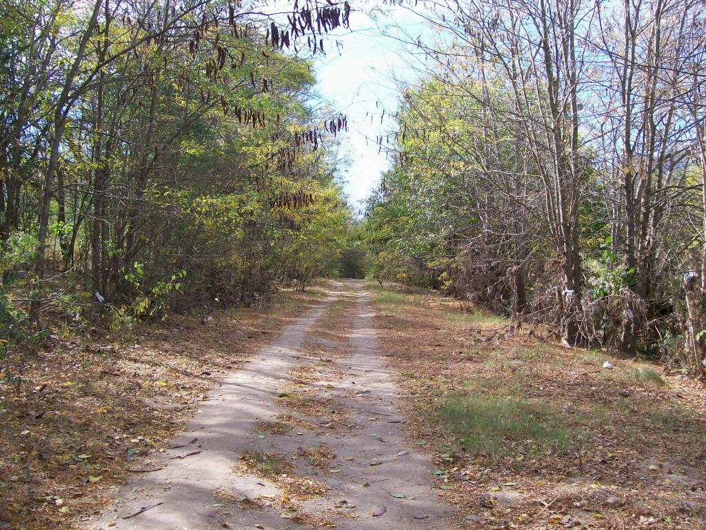 Foto de Bialet Masse, Argentina