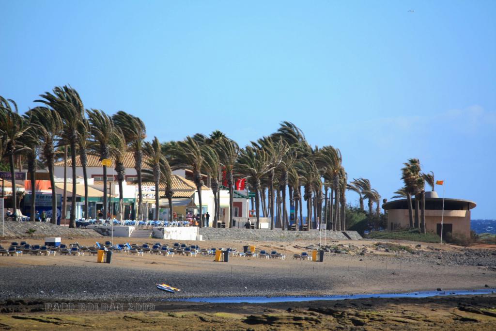 Foto de Arona (Santa Cruz de Tenerife), España