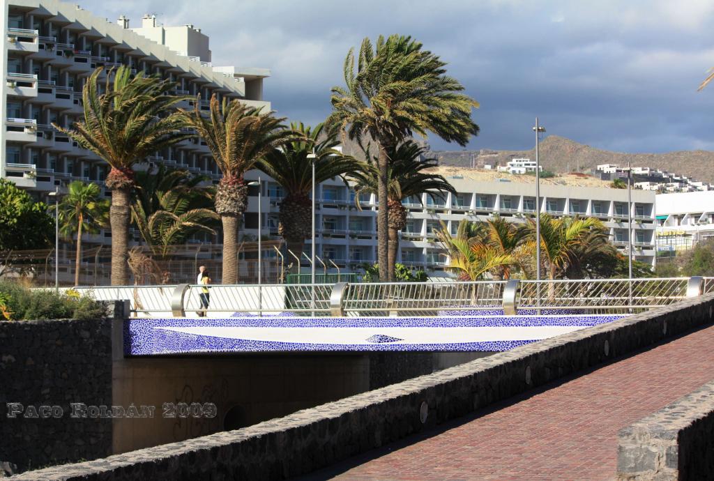 Foto de Arona (Santa Cruz de Tenerife), España