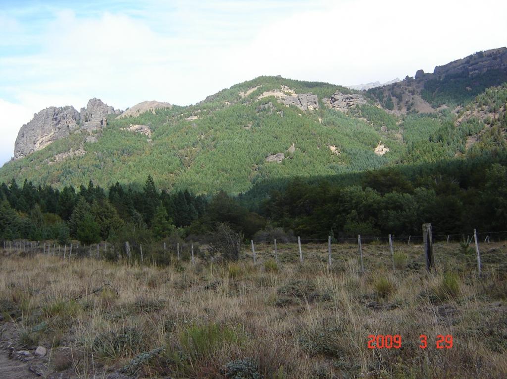 Foto de Villa Meliquina (Neuquén), Argentina