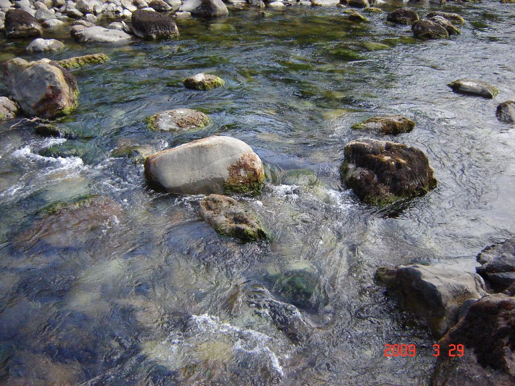 Foto de Villa Meliquina (Neuquén), Argentina