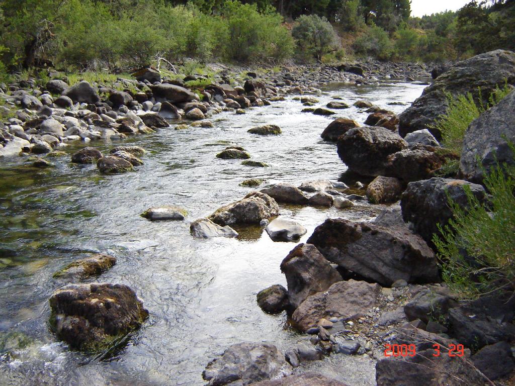 Foto de Villa Meliquina (Neuquén), Argentina