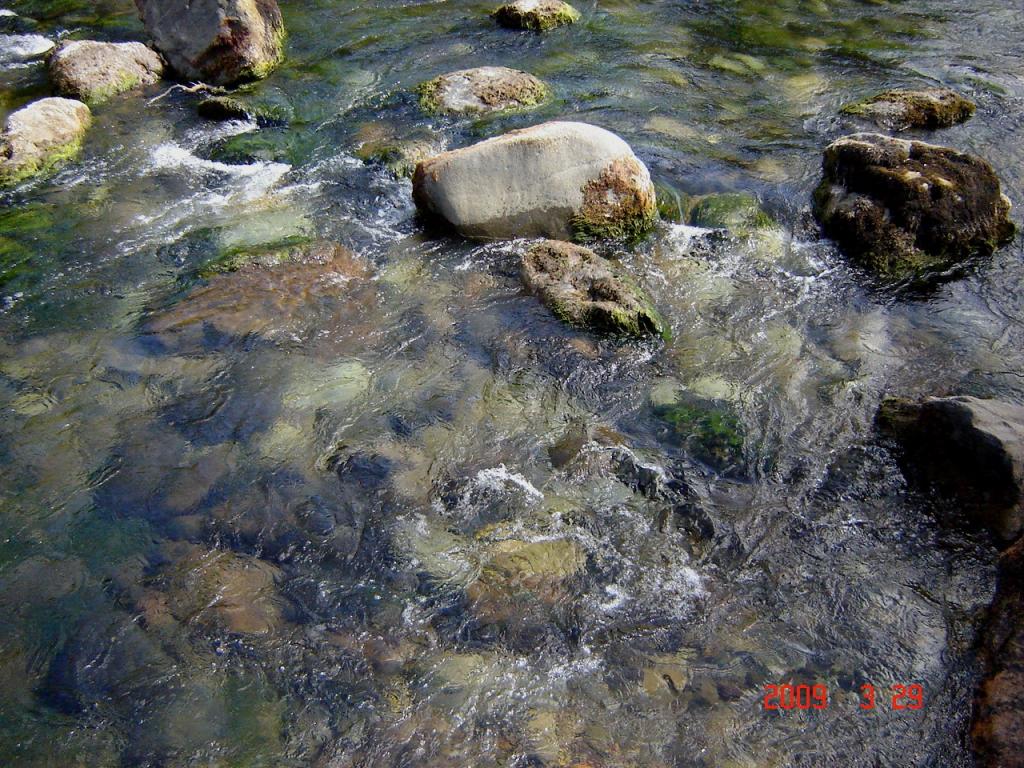 Foto de Villa Meliquina (Neuquén), Argentina
