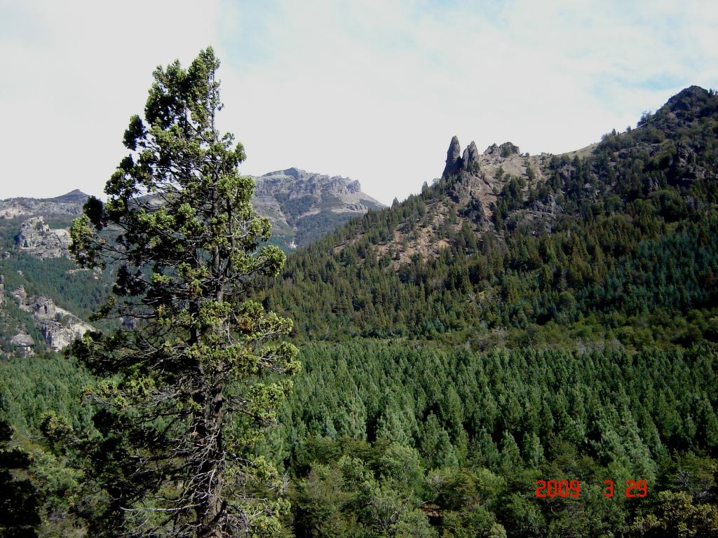 Foto de Villa Meliquina (Neuquén), Argentina