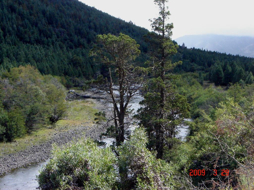 Foto de Villa Meliquina (Neuquén), Argentina
