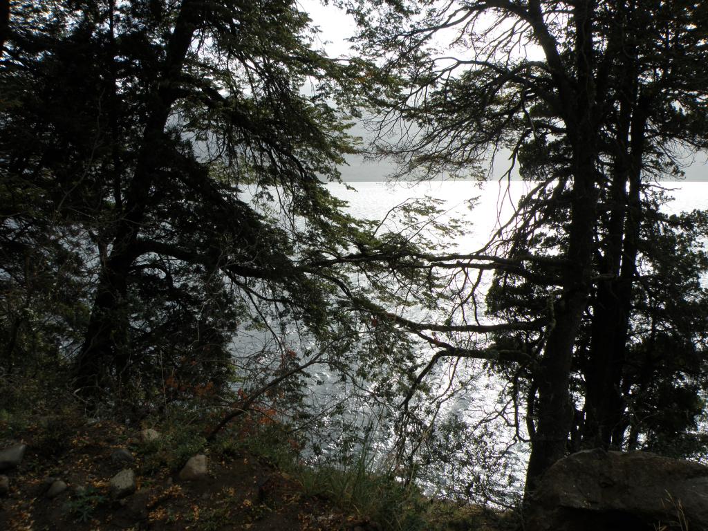 Foto de Villa Meliquina (Neuquén), Argentina