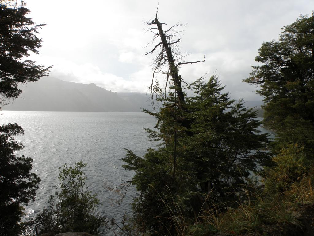 Foto de Villa Meliquina (Neuquén), Argentina