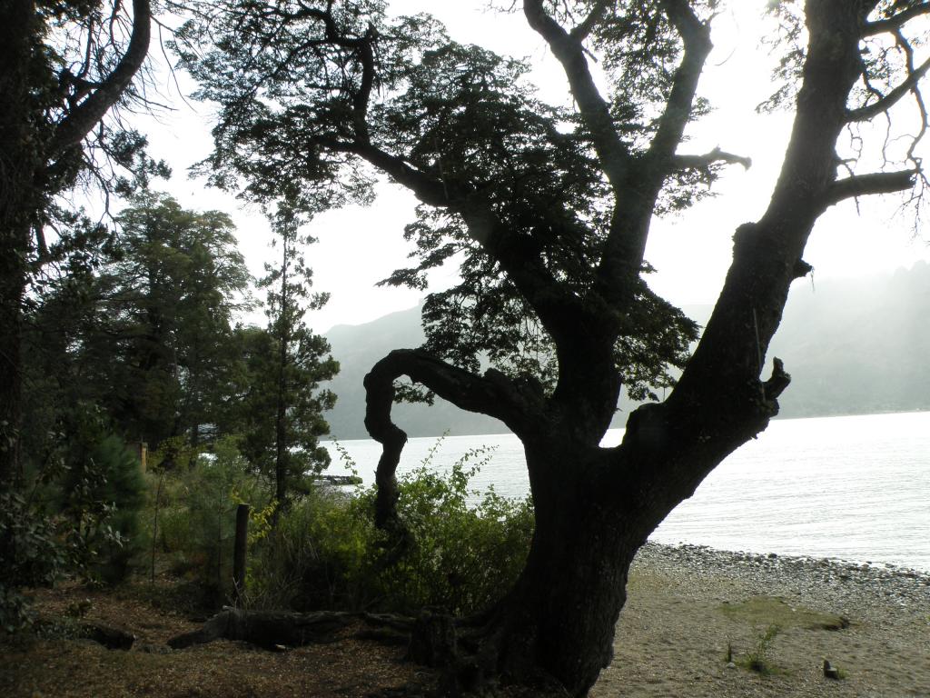 Foto de Villa Meliquina (Neuquén), Argentina