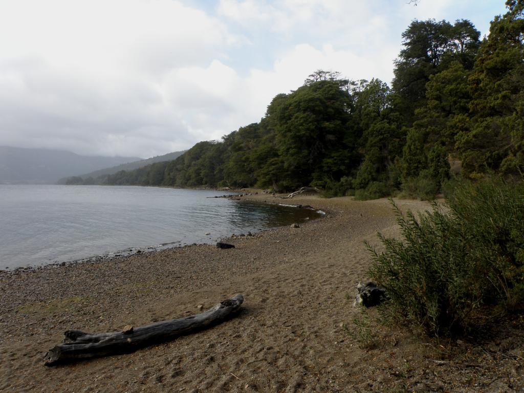 Foto de Villa Meliquina (Neuquén), Argentina