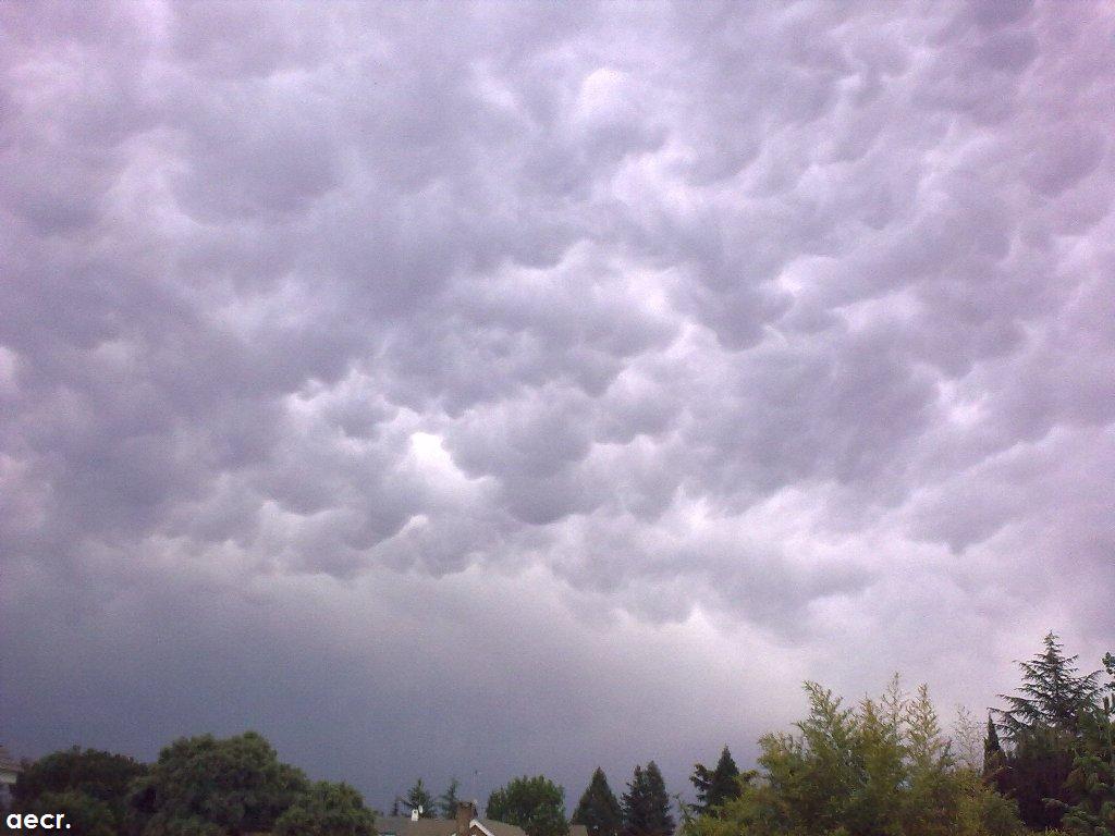 Foto de Pozuelo de Alarcón (Madrid), España