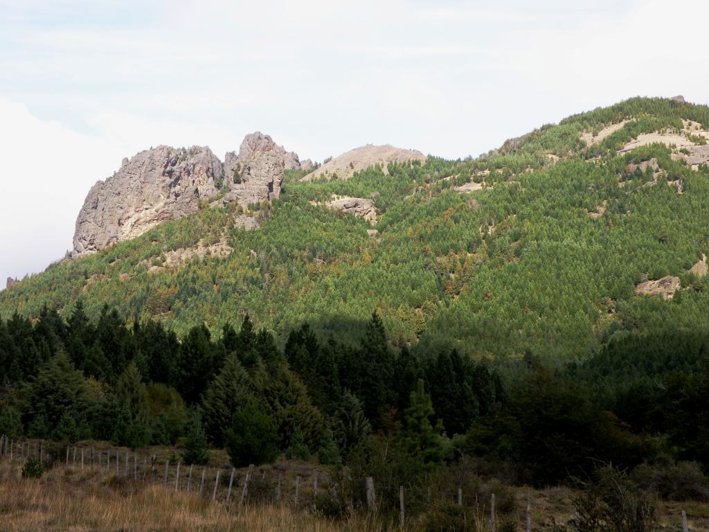 Foto de Villa Meliquina (Neuquén), Argentina