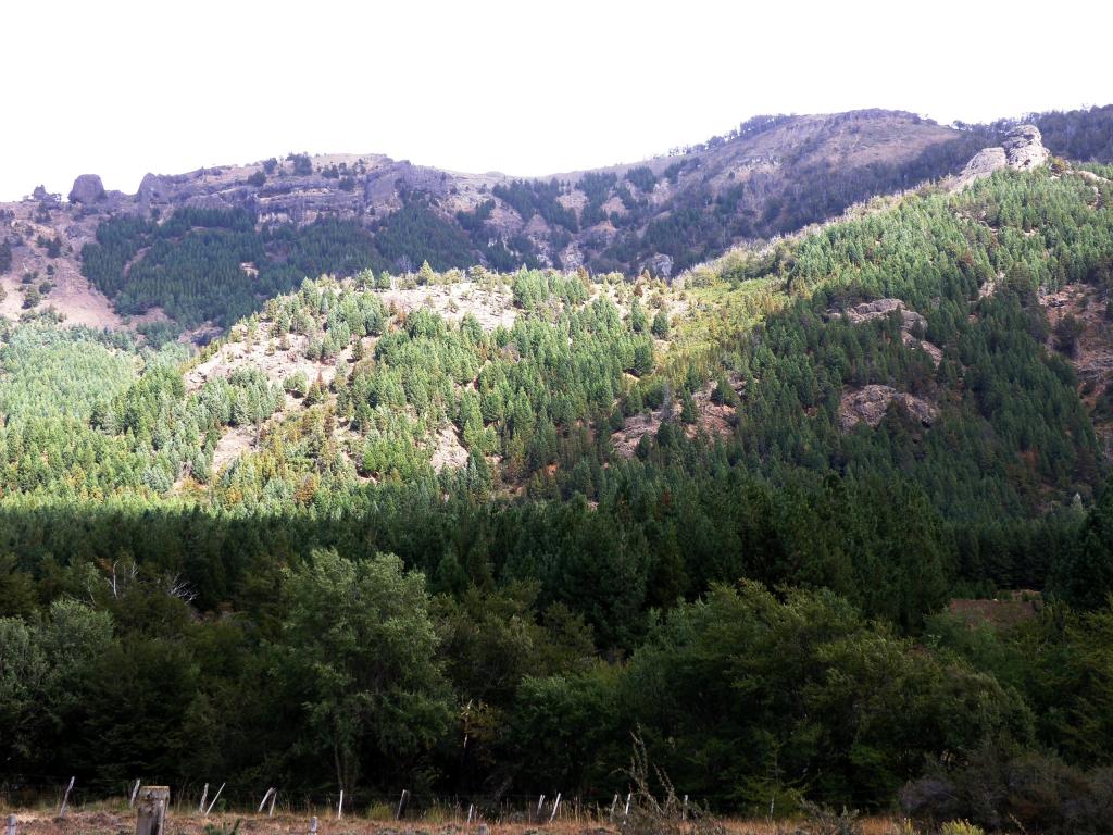 Foto de Villa Meliquina (Neuquén), Argentina