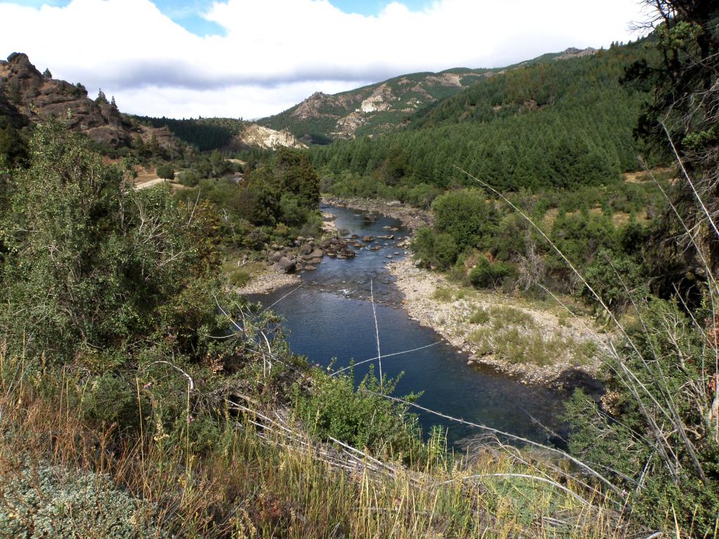 Foto de Villa Meliquina (Neuquén), Argentina
