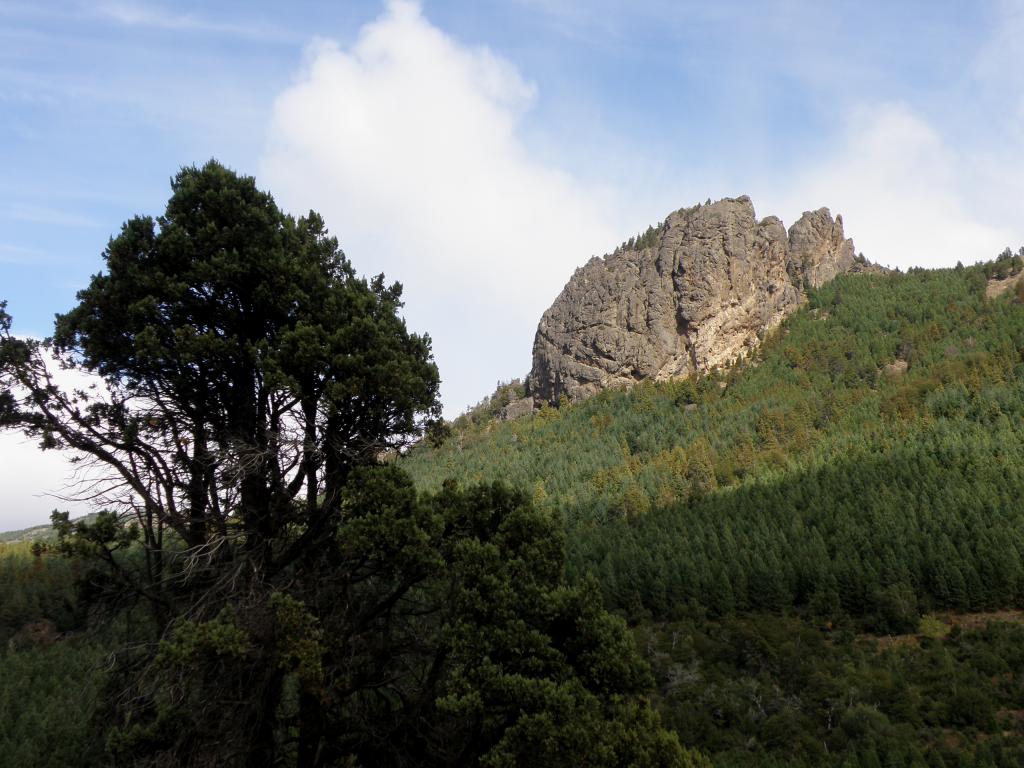 Foto de Villa Meliquina (Neuquén), Argentina