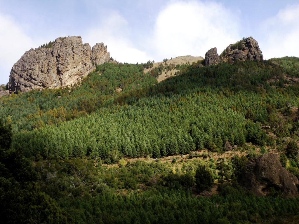 Foto de Villa Meliquina (Neuquén), Argentina