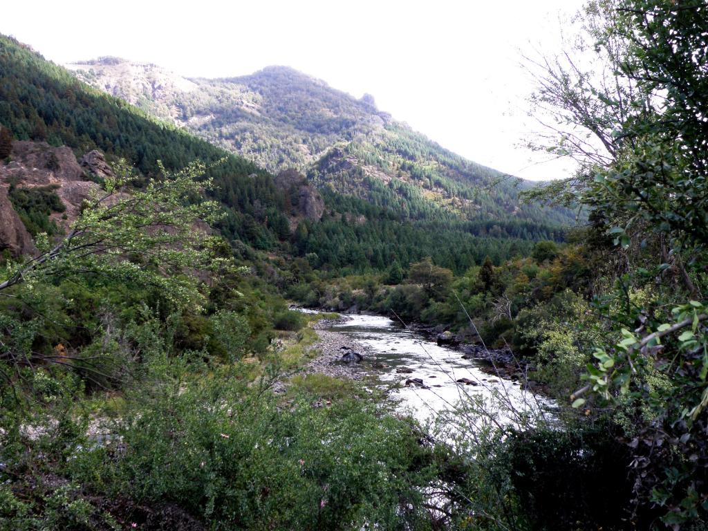 Foto de Villa Meliquina (Neuquén), Argentina