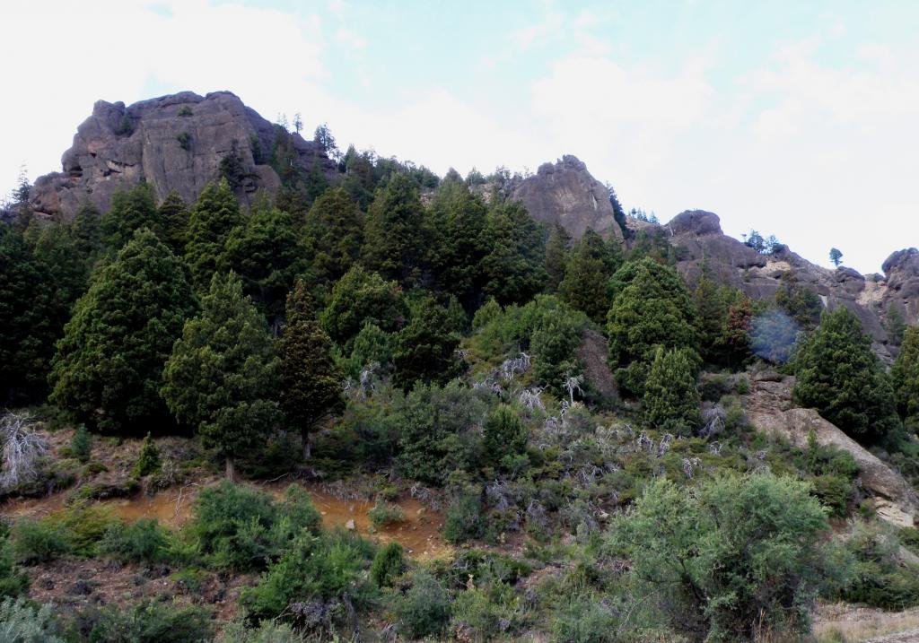 Foto de Villa Meliquina (Neuquén), Argentina