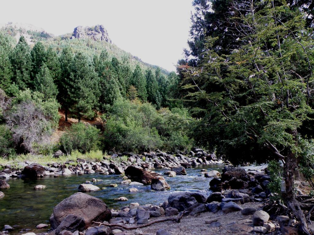 Foto de Villa Meliquina (Neuquén), Argentina