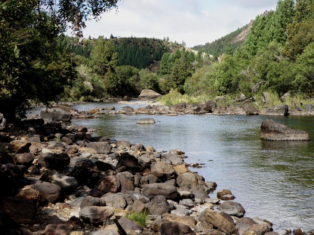 Foto de Villa Meliquina (Neuquén), Argentina