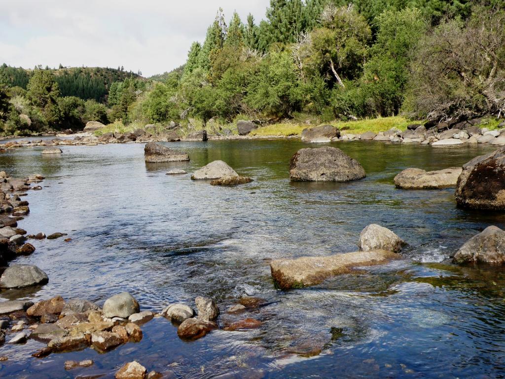 Foto de Villa Meliquina (Neuquén), Argentina