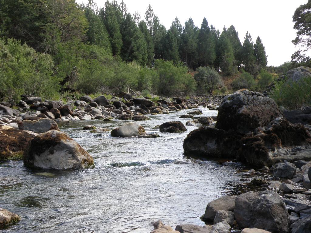 Foto de Villa Meliquina (Neuquén), Argentina