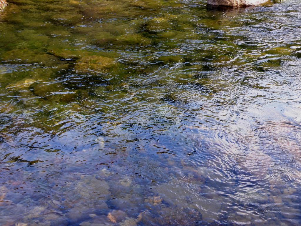Foto de Villa Meliquina (Neuquén), Argentina