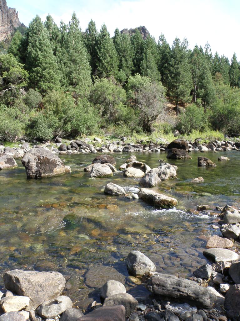 Foto de Villa Meliquina (Neuquén), Argentina