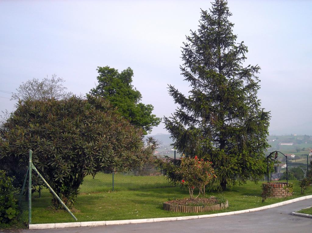 Foto de Gajano (Cantabria), España
