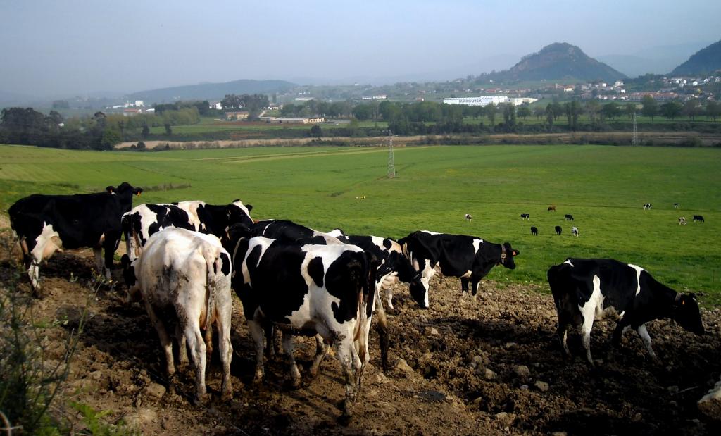 Foto de Gajano (Cantabria), España