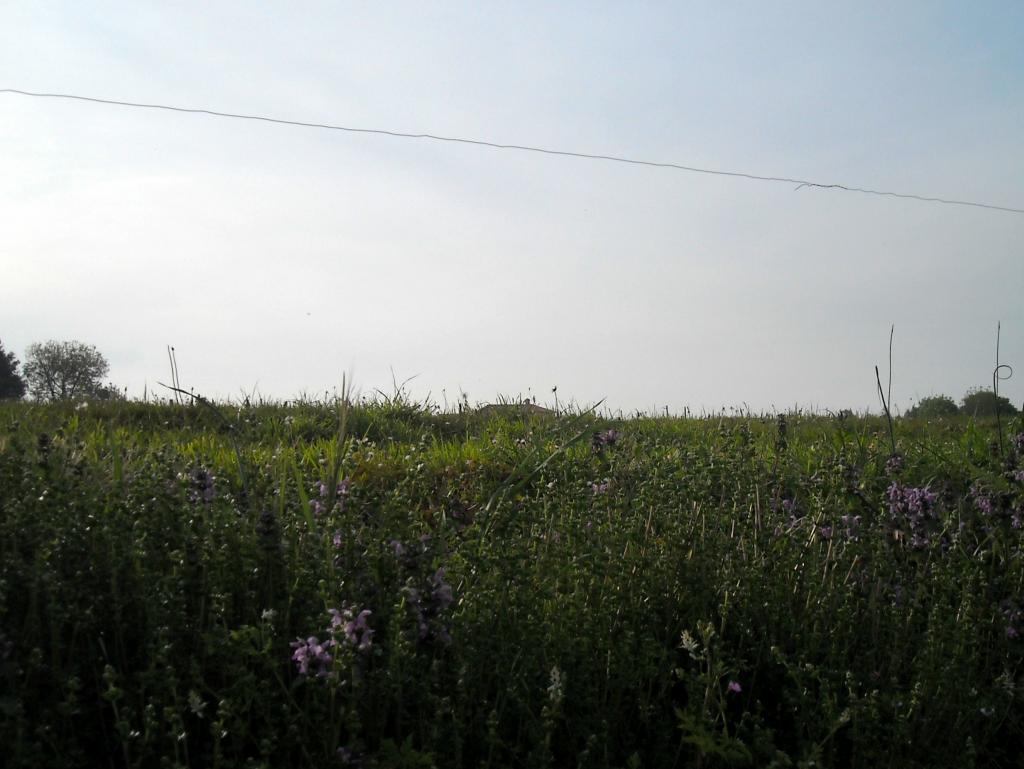 Foto de Gajano (Cantabria), España