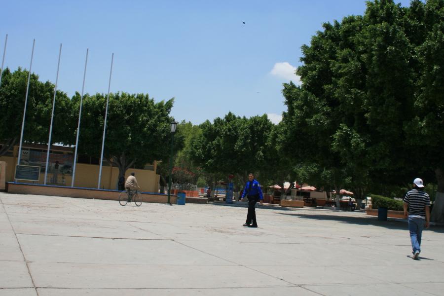 Foto de Torreon Coah, México