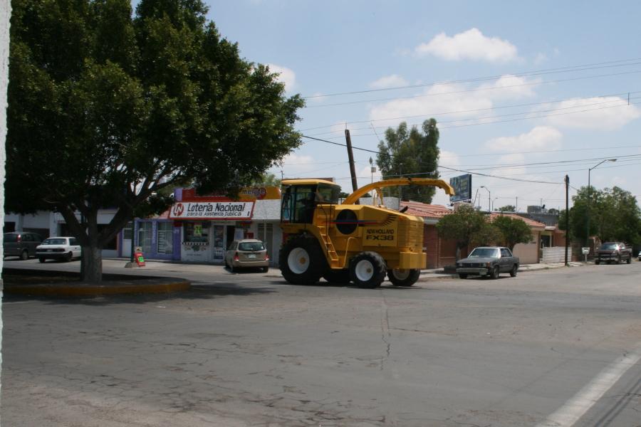 Foto de Torreon Coah, México