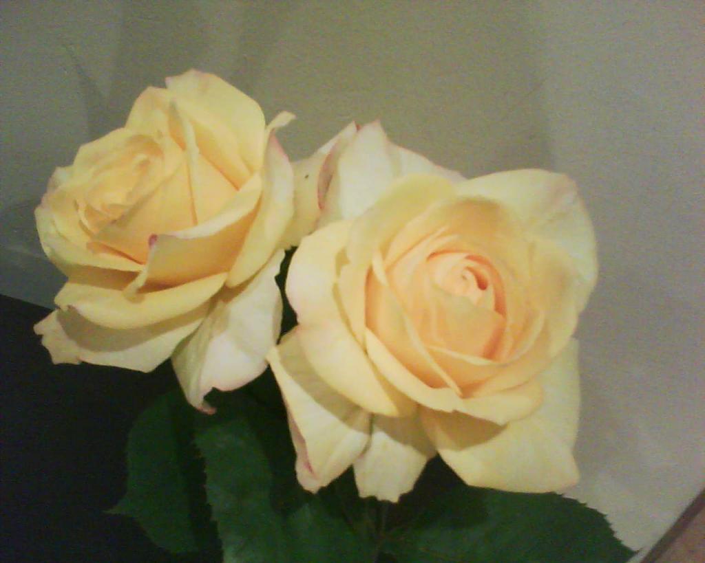 Foto de Córdoba (Andalucía), España