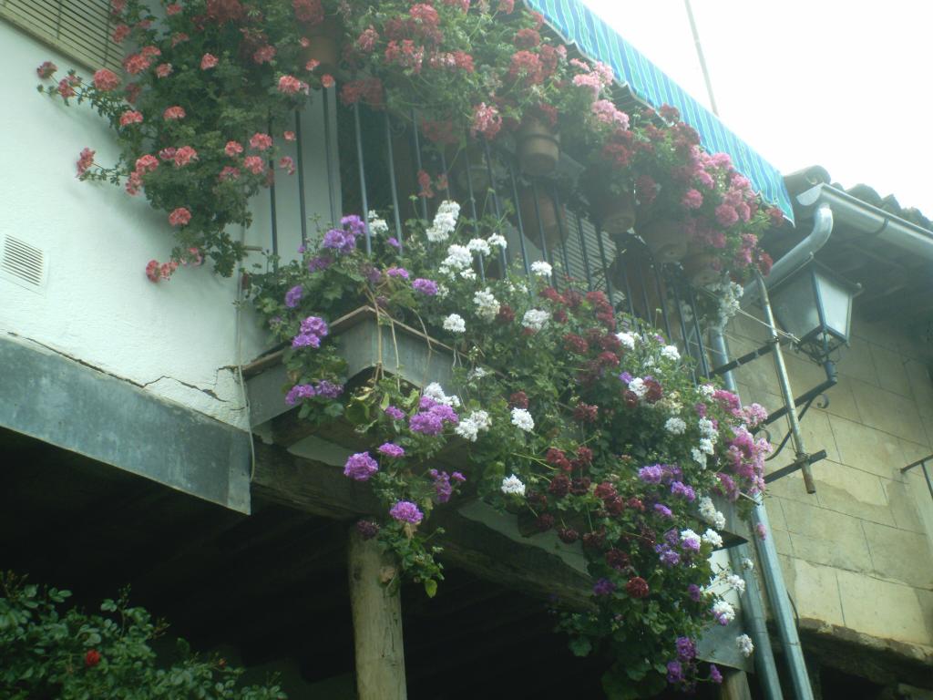Foto de Cáceres (Extremadura), España