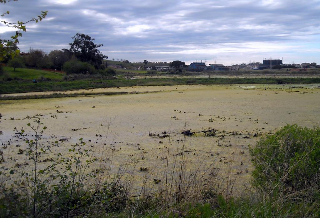 Foto de Guarnizo (Cantabria), España