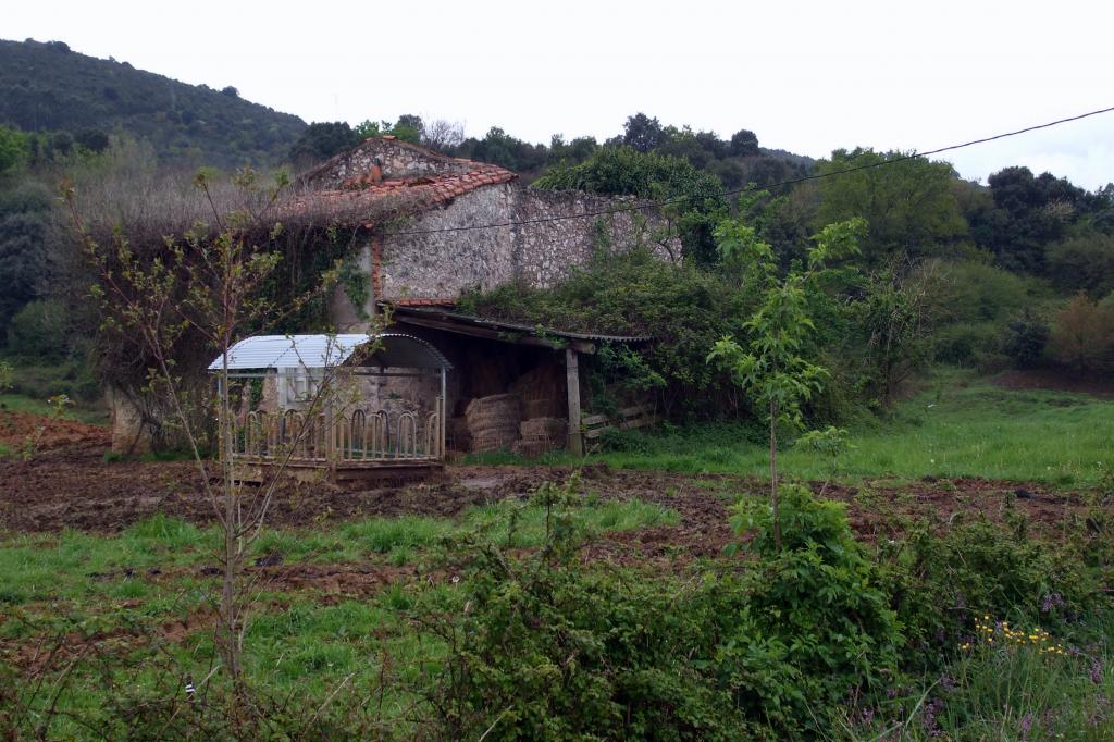 Foto de Liaño (Cantabria), España