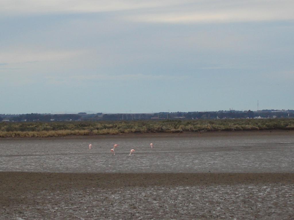 Foto de General Daniel Cerri, Argentina