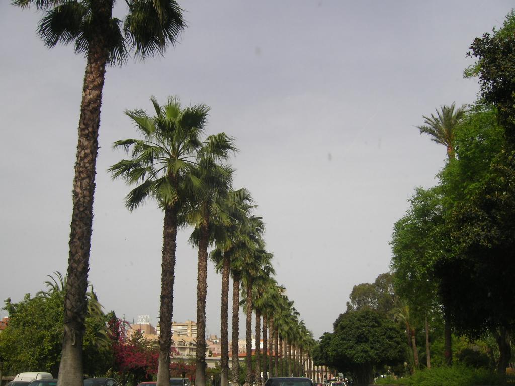 Foto de Murcia, España