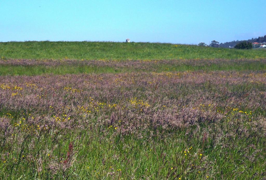 Foto de Orejo (Cantabria), España