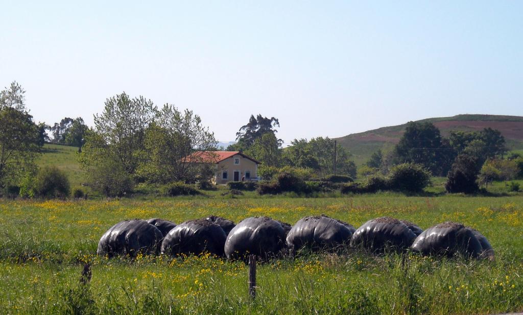 Foto de Orejo (Cantabria), España
