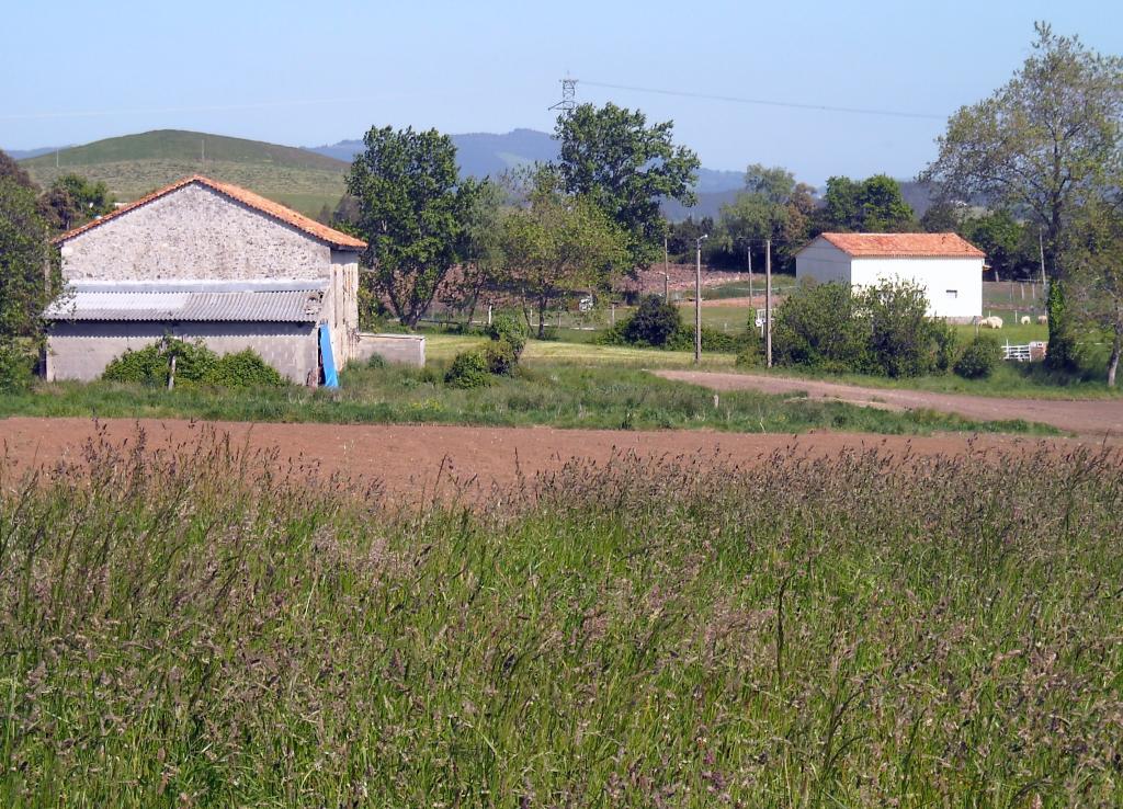Foto de Orejo (Cantabria), España