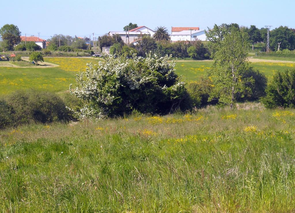 Foto de Orejo (Cantabria), España