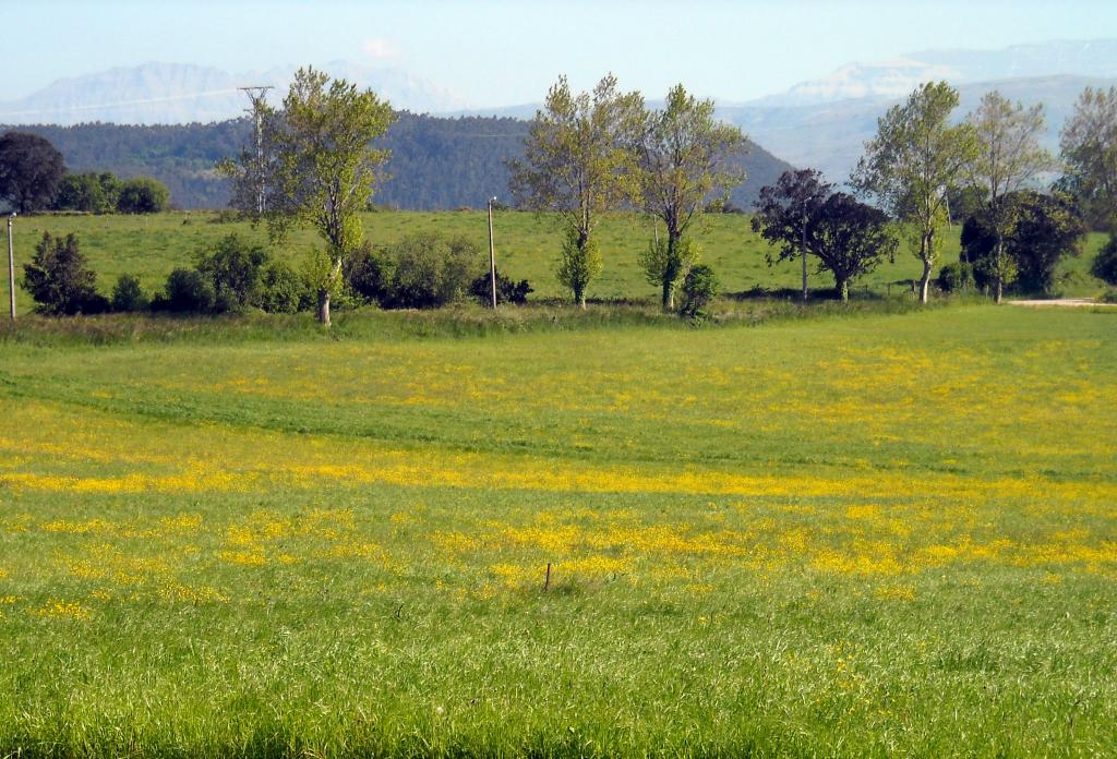 Foto de Orejo (Cantabria), España