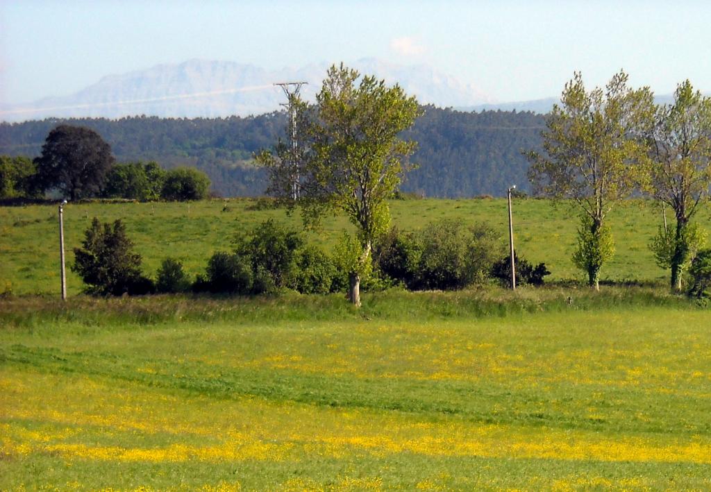 Foto de Orejo (Cantabria), España