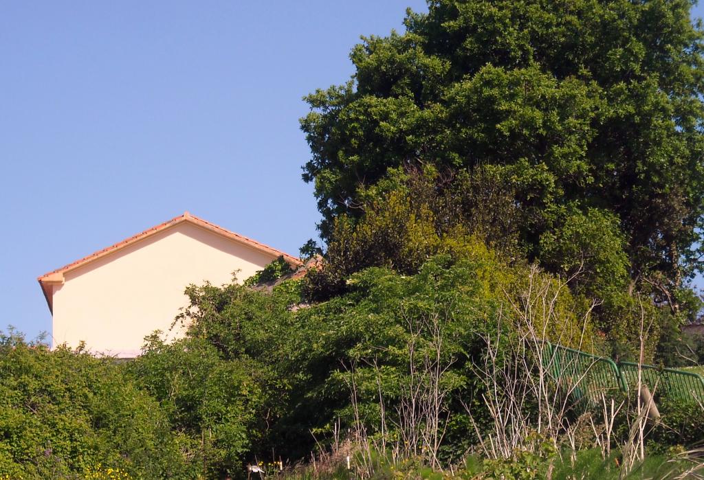 Foto de Orejo (Cantabria), España