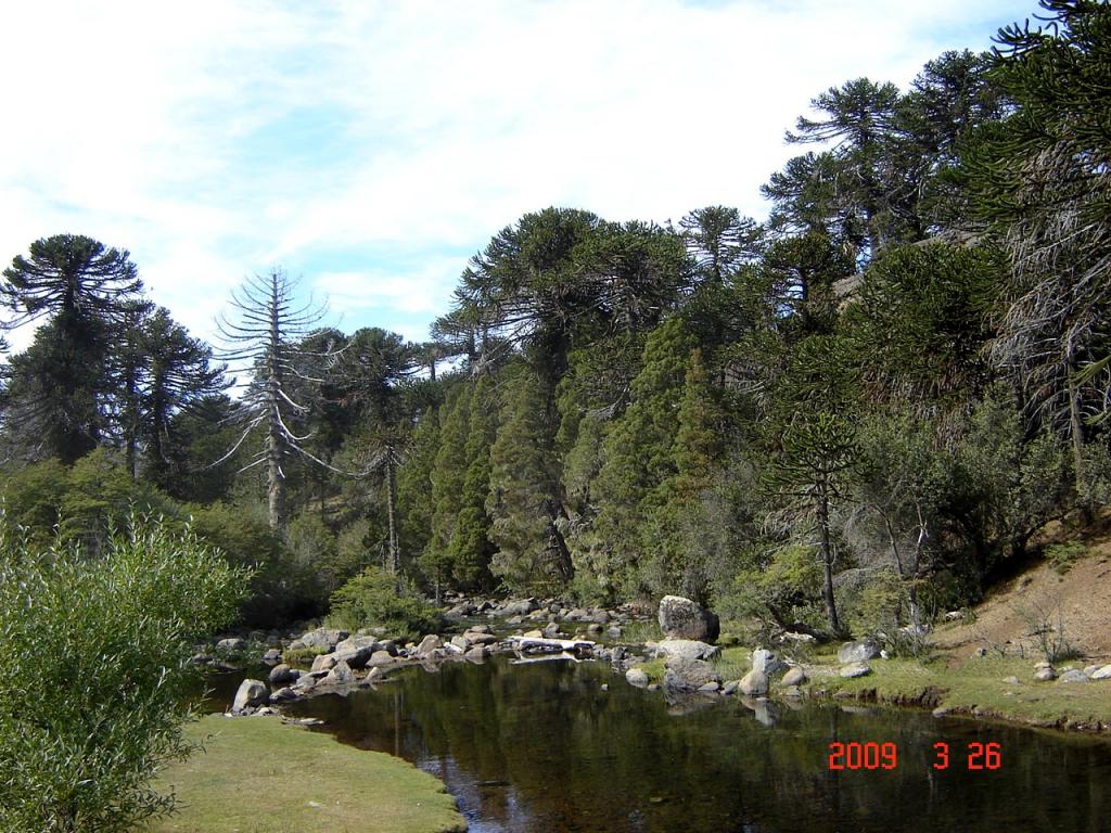 Foto de Aluminé (Neuquén), Argentina