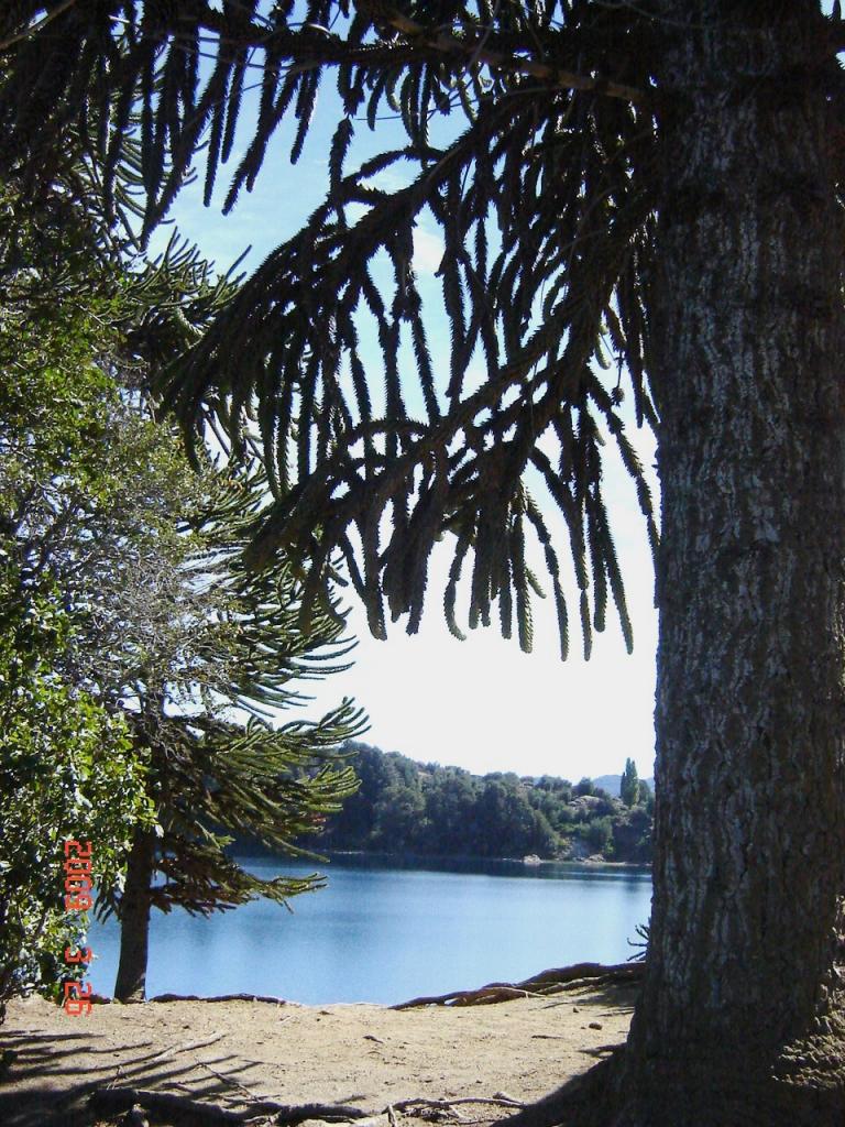 Foto de Villa Pehuenia (Neuquén), Argentina