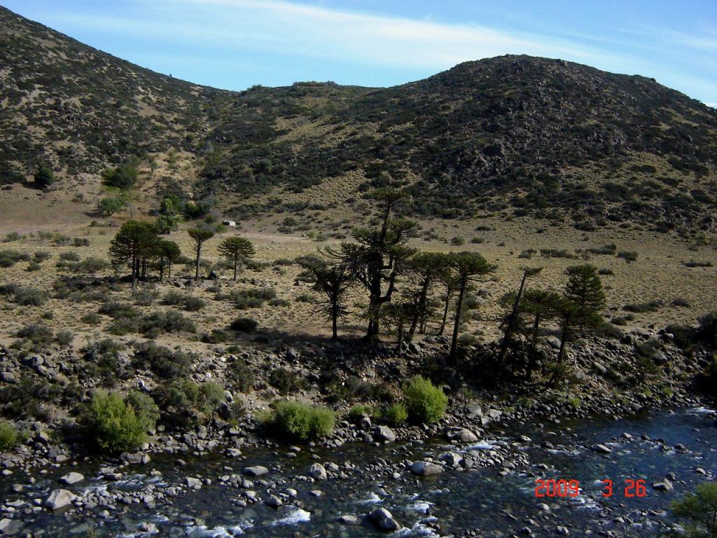 Foto de Villa Pehuenia (Neuquén), Argentina