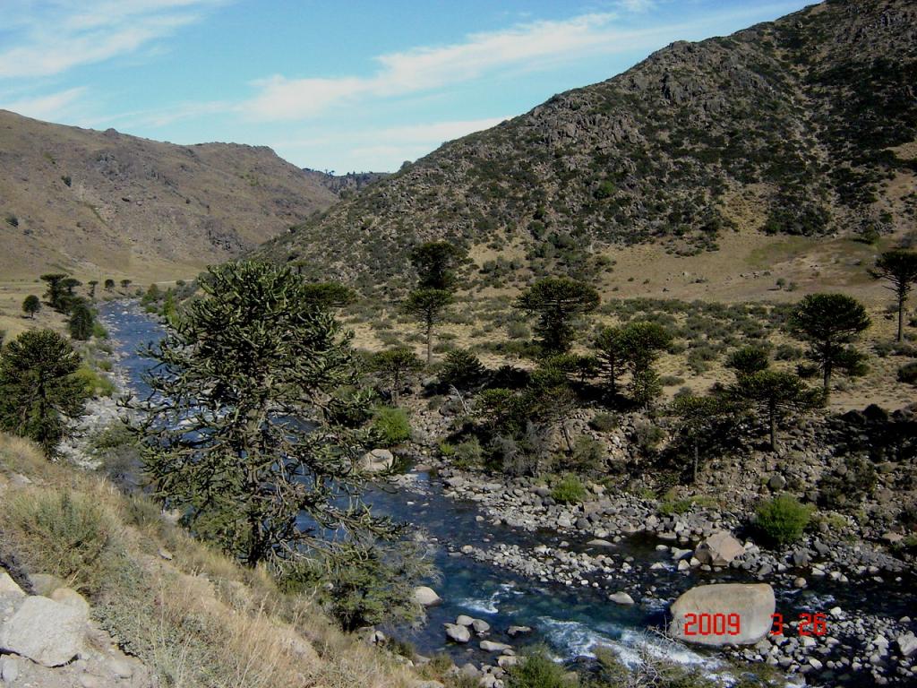 Foto de Villa Pehuenia (Neuquén), Argentina