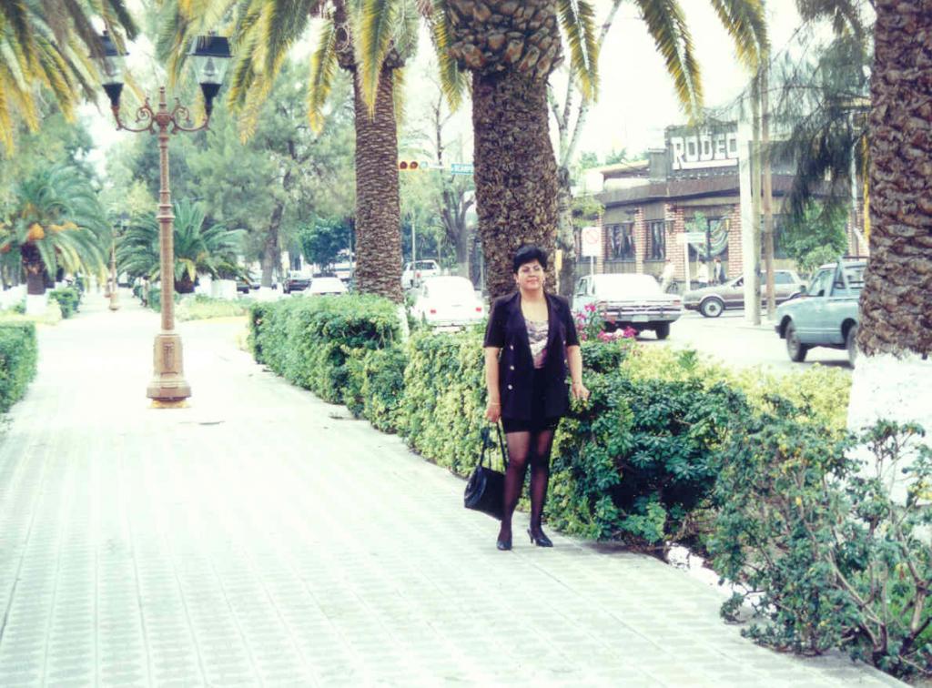 Foto de Torreon Coah, México